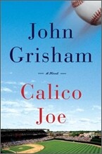 Calico Joe
