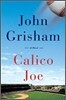 Calico Joe
