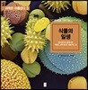 식물의 일생