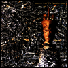 Siouxsie & The Banshees - Juju (Limited Edition)(180G)(LP)