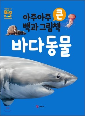 아주아주 큰 백과 그림책 : 바다 동물