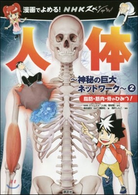 神秘の巨大ネットワ-ク(2)脂肪.筋肉.骨のひみつ!
