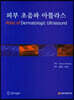 프리미엄 A4 복사용지 A4용지 75g 2500매 1박스