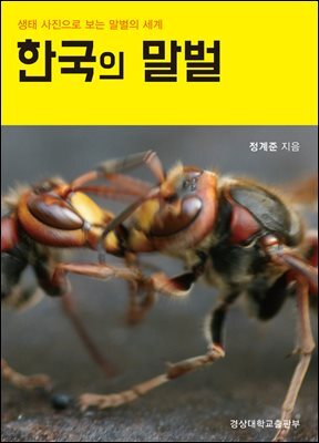 한국의 말벌