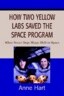 How Two Yellow Labs Saved the Space Program: When Smart Dogs Shape Shift in Space