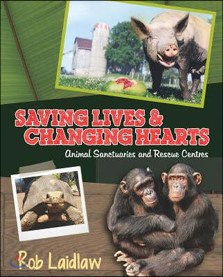 Saving Lives and Changing Hearts: Animal Sanctuaries and Rescue Centers