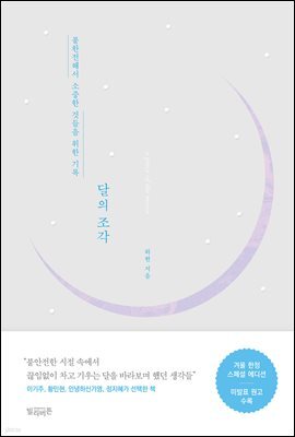 달의 조각