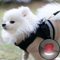 강아지 하네스 가슴줄 리드줄 블랙
