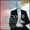 Gerd Schaller 브루크너: 오케스트라를 위해 편곡된 5중주곡 (Bruckner: Quintet in F Major [arranged for large orchestra])