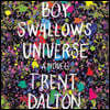 Boy Swallows Universe