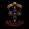 Guns N' Roses - Appetite For Destruction (Remastered)(CD)