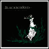 Blackboxred - Salt In My Eyes (Limited Edition)(Colored LP)