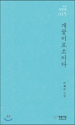개꿈이로소이다