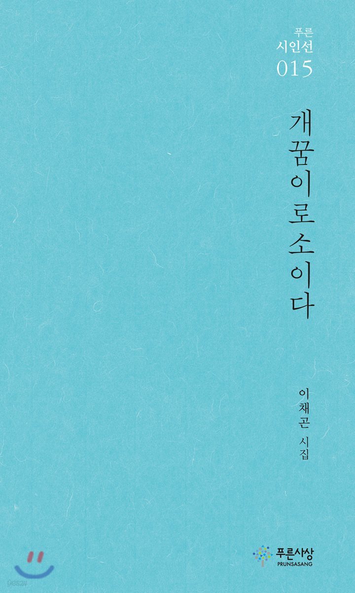 개꿈이로소이다