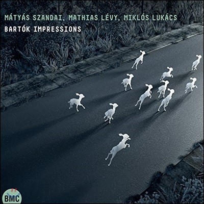 Mathias Levy 바르톡을 기반으로한 헝가리 음악집 (Bartok Impressions)