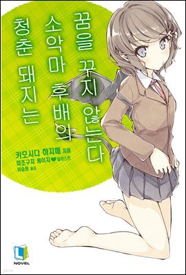 청춘 돼지는 소악마 후배의 꿈을 꾸지 않는다 - 청춘 돼지는 02