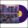Donovan (도노반) - Wear Your Love Like Heaven [퍼플 컬러 LP]
