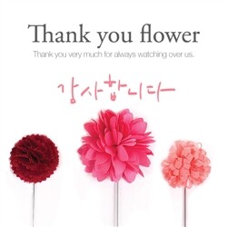 [한정판매][50%할인]땡큐 플라워 부토니에-피치핑크