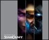 The Cinematic Art of Starcraft