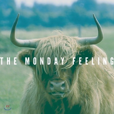 더 먼데이 필링 (The Monday Feeling) - Absolutely Clearly