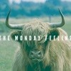 더 먼데이 필링 (The Monday Feeling) - Absolutely Clearly