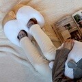 시바궁둥이 온열 USB 발난로 쿠션
