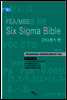FEA MBB를 위한 Six Sigma Bible