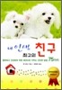 내 인생 최고의 친구