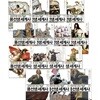 교양으로 읽는 용선생 세계사 1~15권 세트