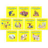 Curious George Collection : 큐리어스 조지 10종 세트