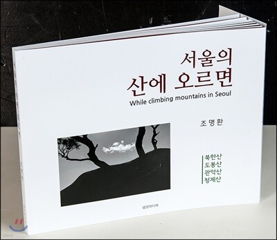 서울의 산에 오르면