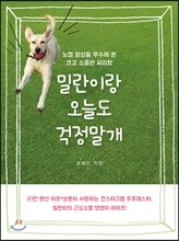 밀란이랑 오늘도 걱정말개