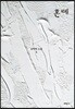혼례