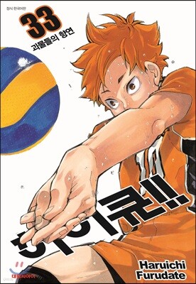 하이큐!! 33