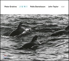 Peter Erskine (피터 어스킨) - Juni