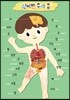 시멘토 학습벽보 학습앱 신비한 우리 몸