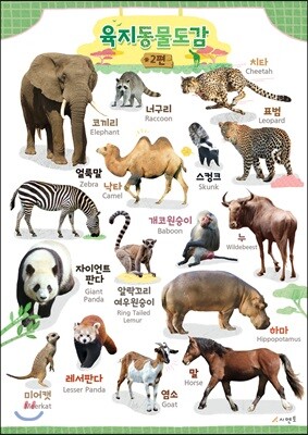시멘토 학습벽보 학습앱 육지동물도감 2
