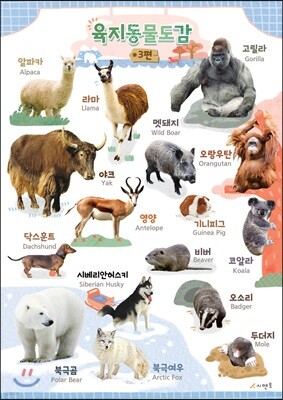 시멘토 학습벽보 학습앱 육지동물도감 3