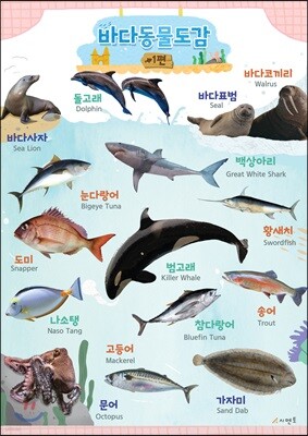 시멘토 학습벽보 학습앱 바다동물도감 1