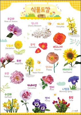 시멘토 학습벽보 학습앱 식물도감 1