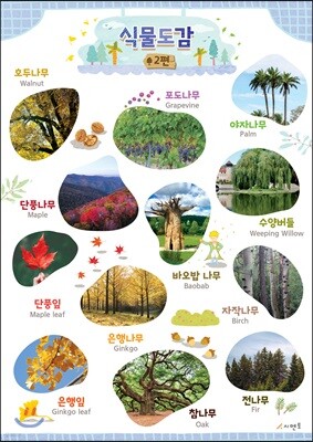 시멘토 학습벽보 학습앱 식물도감 2