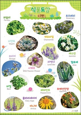 시멘토 학습벽보 학습앱 식물도감 3