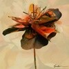 페노메코 (Penomeco) - 미니앨범 1집 : Garden