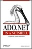 ADO.NET in a Nutshell