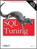 SQL Tuning