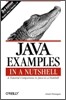 Java Examples in a Nutshell