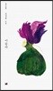 이슬라
