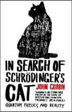 In Search Of Schrodinger's Cat