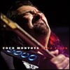 Coco Montoya (코코 몬토야) - Hard Truth