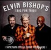 Elvin Bishop (엘빈 비숍) - Something Smells Funky Round Here